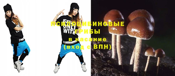 гашик Новозыбков