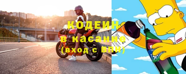 гашик Новозыбков