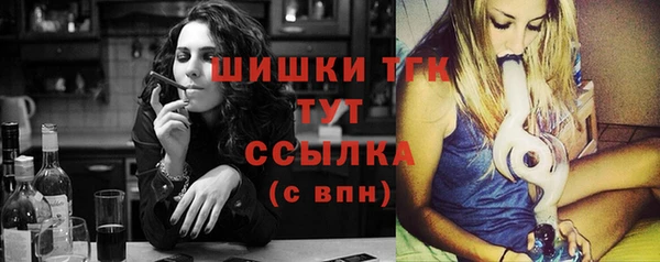 гашик Новозыбков