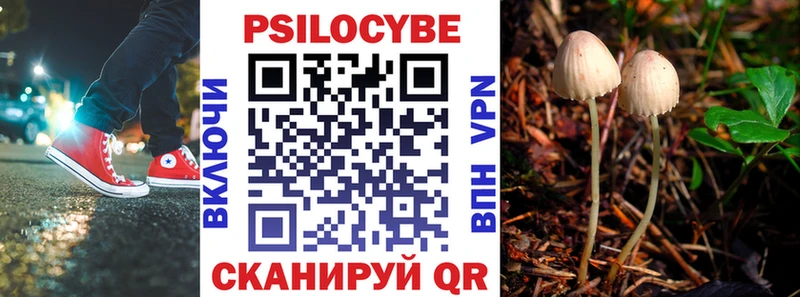 Галлюциногенные грибы Psilocybe  Ртищево 